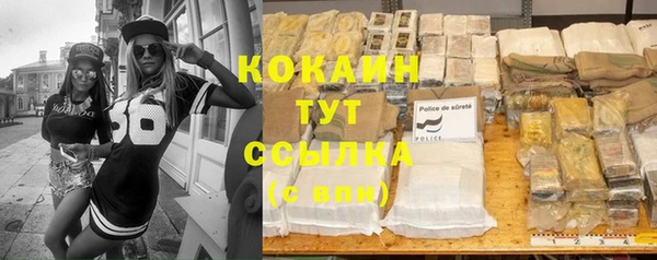 крисы Абдулино