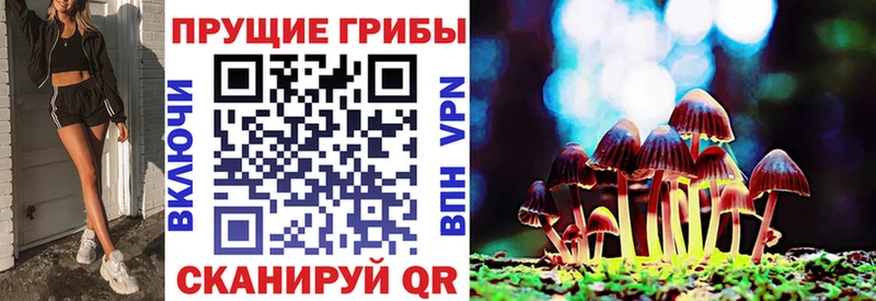 Псилоцибиновые грибы Magic Shrooms  где найти   Сухиничи 